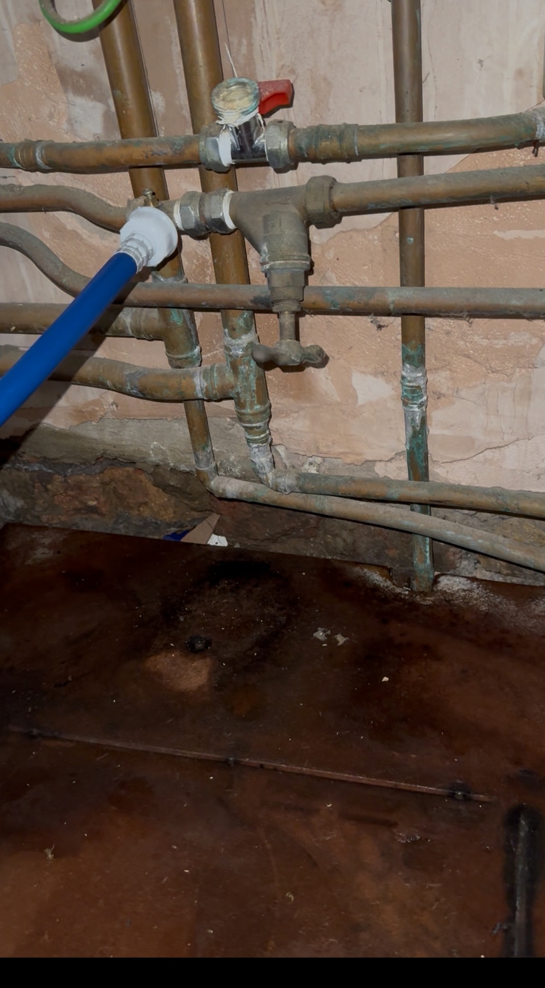 After: Leaking washing machine hose replaced